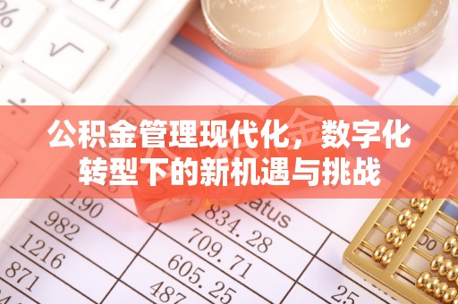 金安公积金管理现代化，数字化转型下的新机遇与挑战