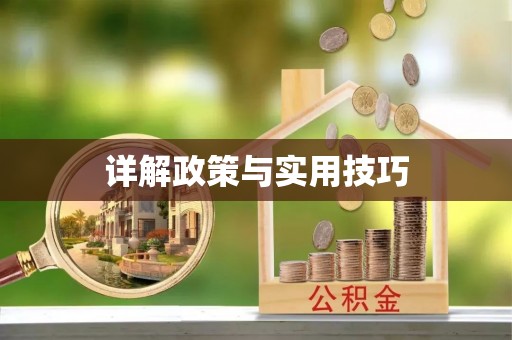 金安详解政策与实用技巧