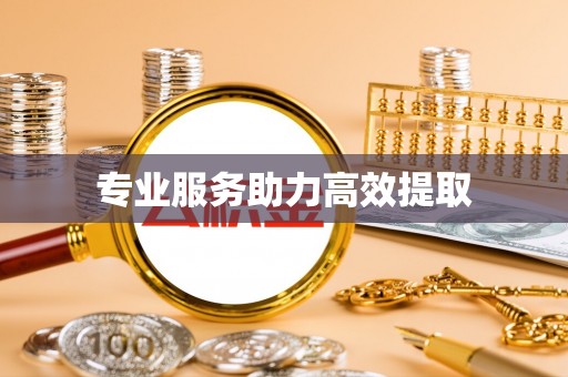 金安专业服务助力高效提取