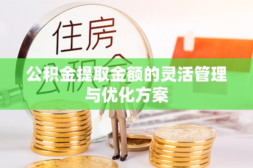 金安公积金提取金额的灵活管理与优化方案