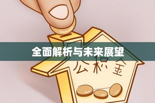 金安全面解析与未来展望