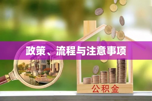 金安政策、流程与注意事项
