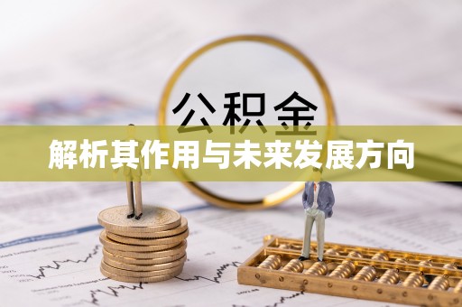 金安解析其作用与未来发展方向