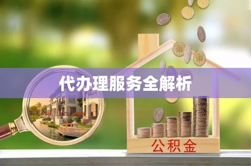金安代办理服务全解析