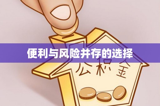 金安便利与风险并存的选择