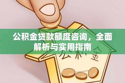 金安公积金贷款额度咨询，全面解析与实用指南