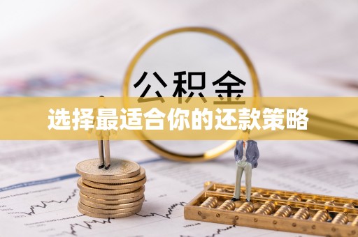 金安选择最适合你的还款策略