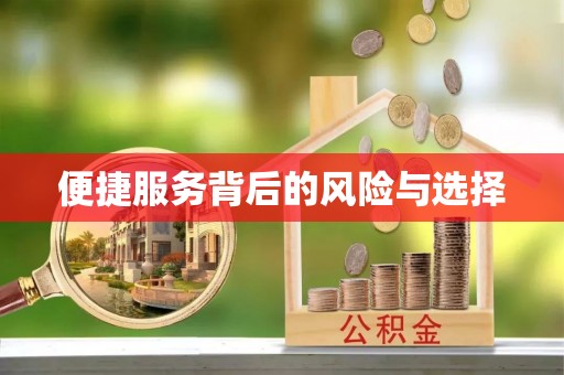 金安便捷服务背后的风险与选择
