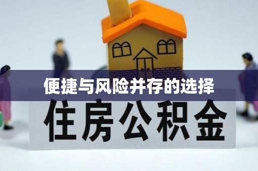 金安便捷与风险并存的选择