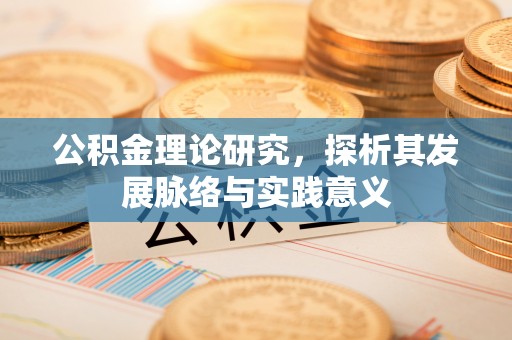 金安公积金理论研究，探析其发展脉络与实践意义