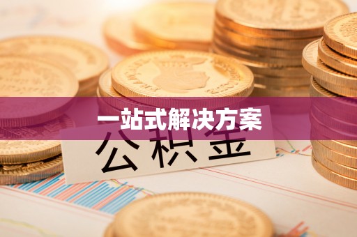 金安一站式解决方案