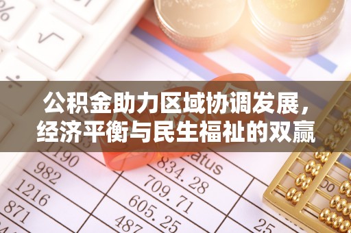 金安公积金助力区域协调发展，经济平衡与民生福祉的双赢之道