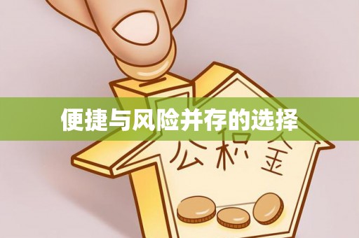 金安便捷与风险并存的选择
