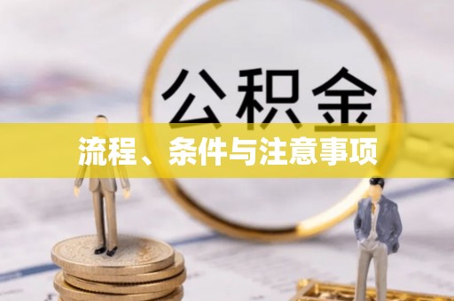 金安流程、条件与注意事项
